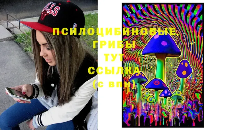 MEGA сайт  Вольск  Галлюциногенные грибы Psilocybine cubensis 